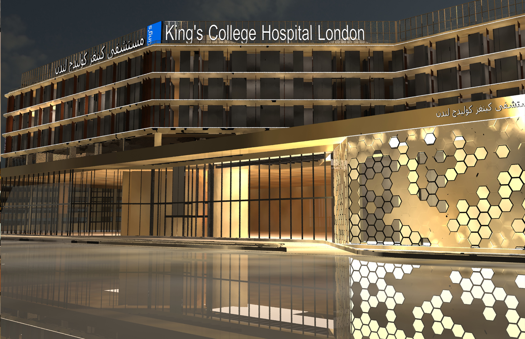 project-image-1